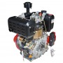 Двигун дизельний Vitals DE 10.0se - фото 6